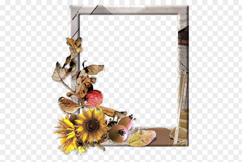 Aggies Frame Window Picture Frames Floral Design Flower Photography PNG