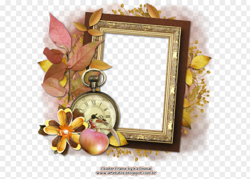 Flower Picture Frames PNG