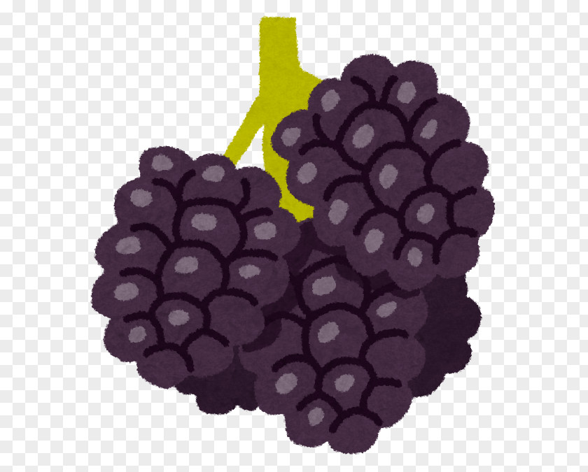 Grape Boysenberry Smoothie Fruit Food PNG