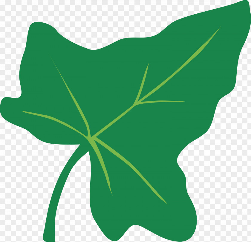 Plant Stem Petal Leaf Green M-tree PNG