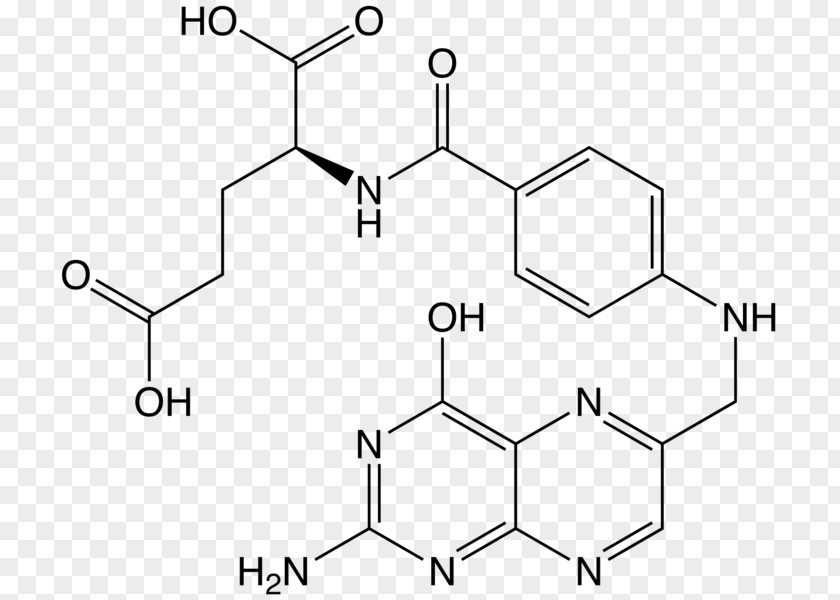 Rapa Folate Chemistry B Vitamins Glutamic Acid PNG