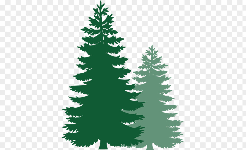 Wood Fiber Clip Art Pine Openclipart Tree Image PNG