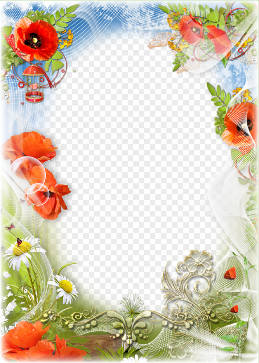 Abstract Floral Frame Picture Frames Clip Art PNG