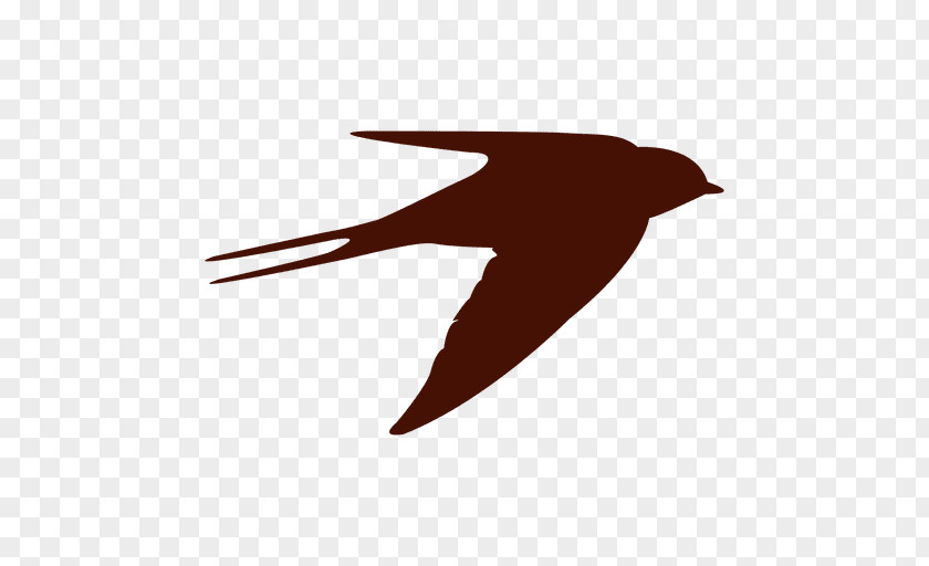 Bird Beak Flight Swallow Silhouette PNG