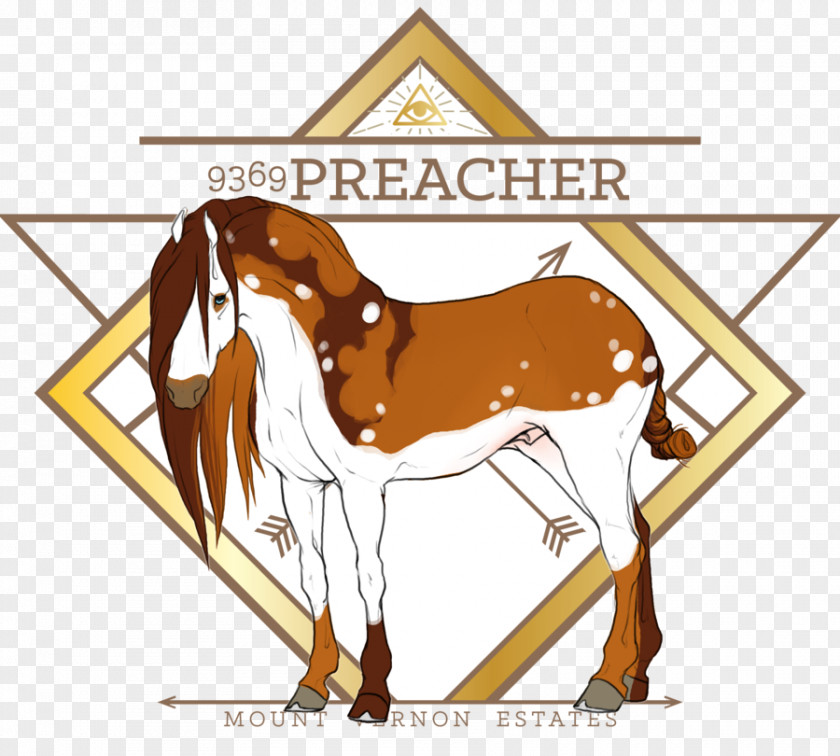 Mustang Colt Pony Foal Halter Art PNG