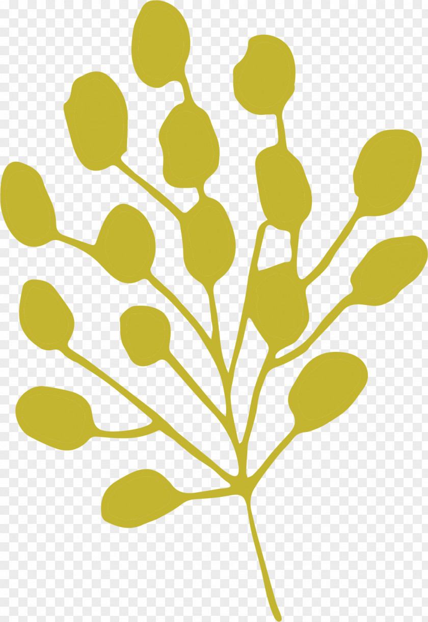 Plant Yellow Area Clip Art PNG