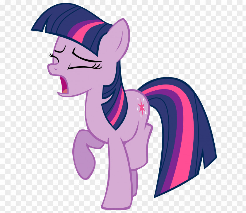 Twilight Sparkle Rainbow Dash Pinkie Pie Princess Celestia Applejack PNG