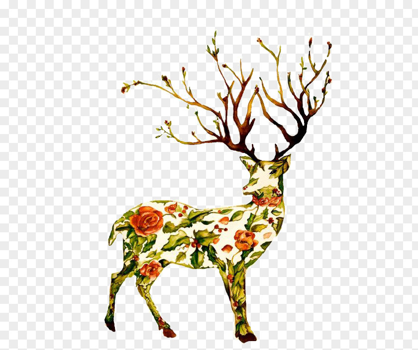 Deer Tattoo Art Illustration PNG
