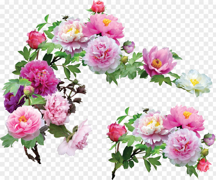 Peach Flowers Peony Flower Blog Clip Art PNG