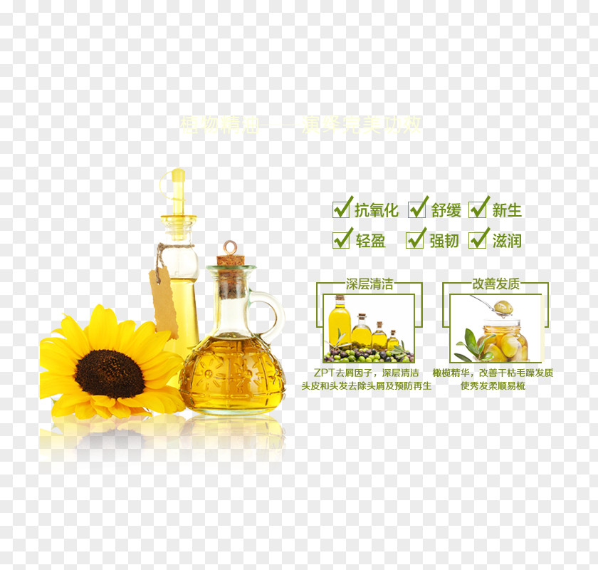 Plant Essential Oil Conditioner Sunflower Olive Sesame Food PNG
