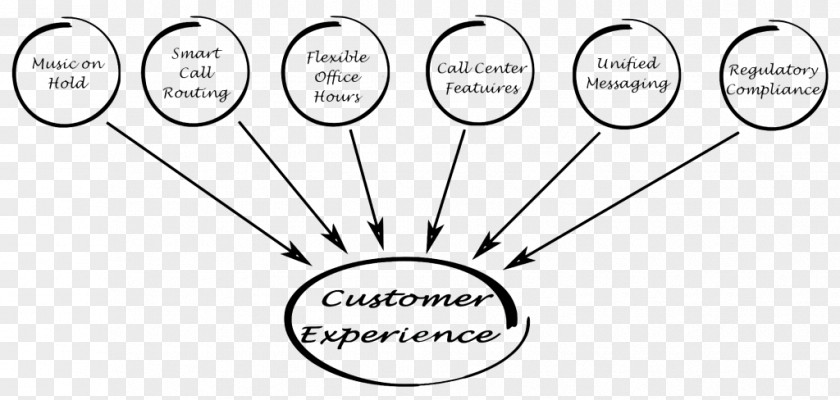 Customer Experience Service Delight Management PNG