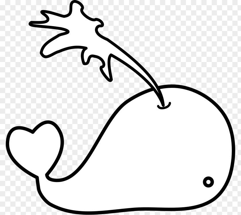 Fish Outlines Coloring Book Killer Whale Beluga Blue PNG