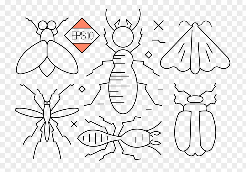 Mosquito Cockroach Contour Creative Ant Insect Clip Art PNG