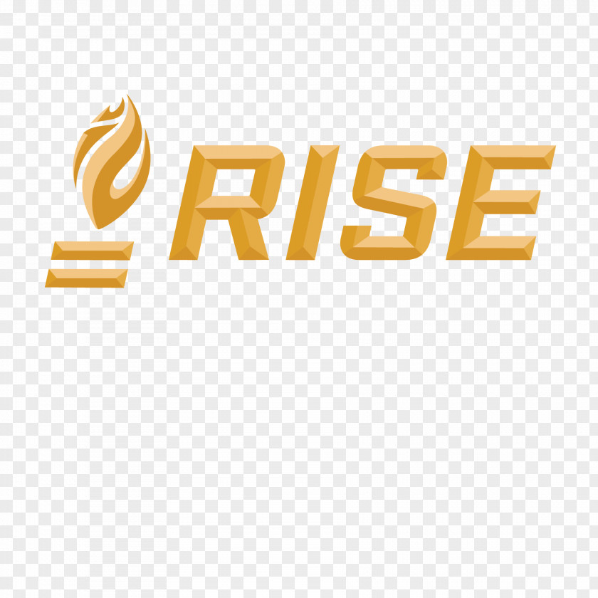 Rise Vector Miami Dolphins United States Sport NFL Coach PNG