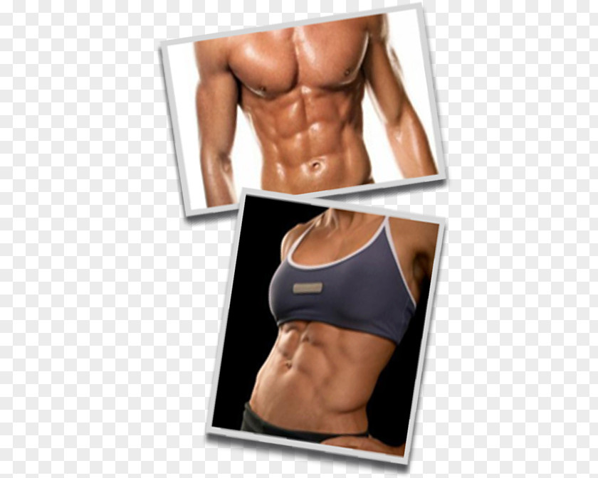 Six Pack Abs Physical Fitness Exercise Man Abdomen Weight Loss PNG