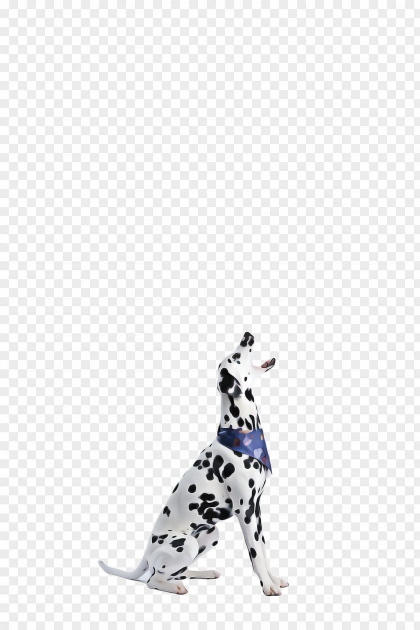 Sporting Group Great Dane Cute Dog PNG