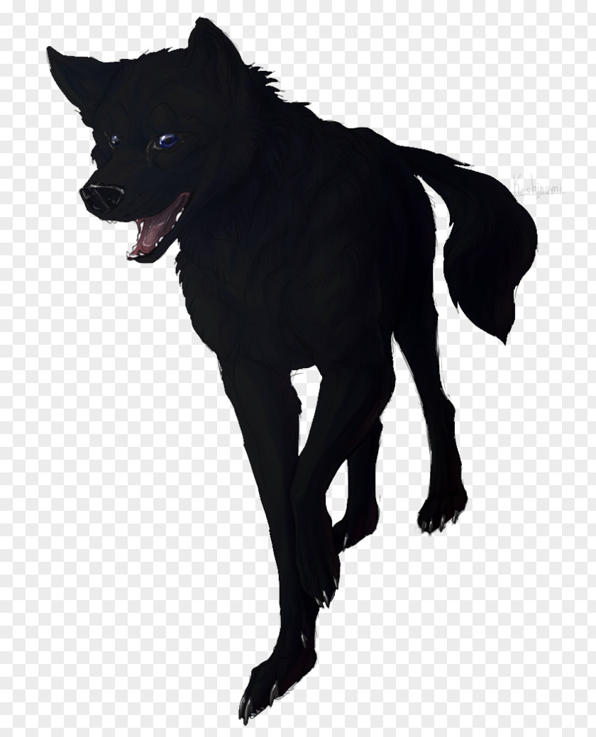 Strongman This Present Darkness Schipperke Dog Breed Snout Fur PNG