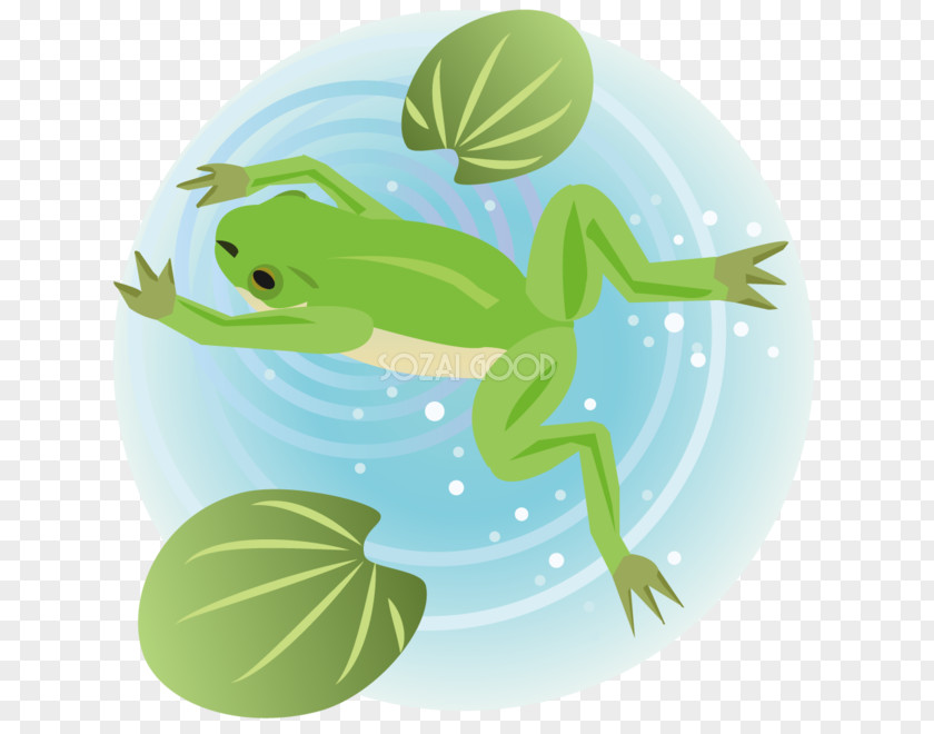 Ai.zip Frog Breaststroke Reptile PNG