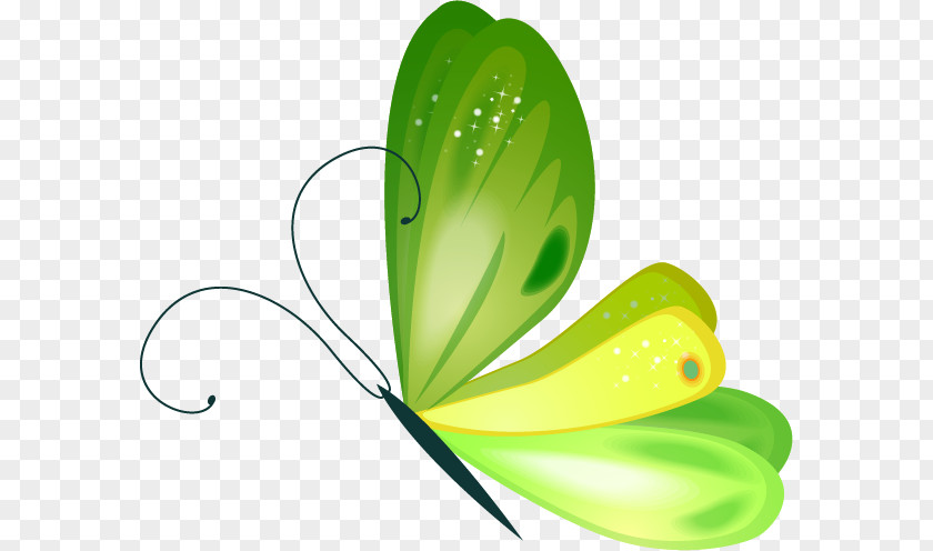 Butterflies Cartoon Green Butterfly Image Clip Art Illustration PNG