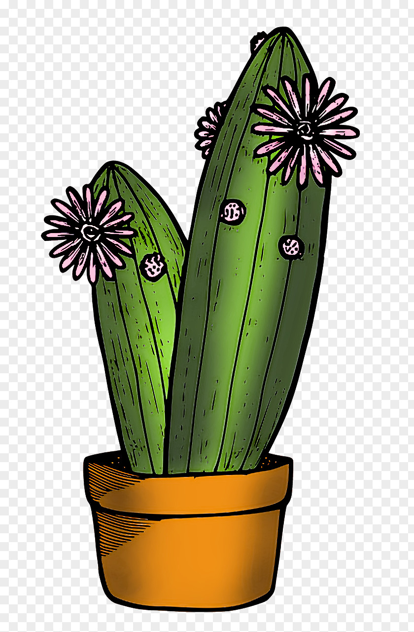 Cactus PNG