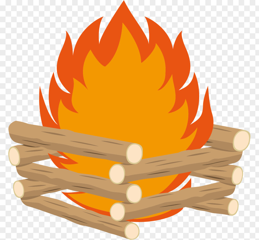 Campfire Camping Illustration Campsite Schoolkamp PNG