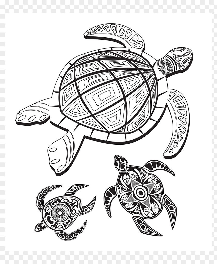 Creative Break Design Tortoise Drawing Line Art Coloring Book Sketch PNG