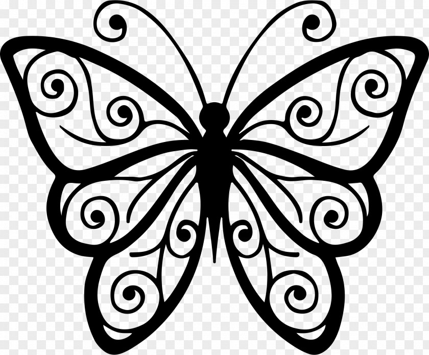 Dragonfly Butterfly Clip Art PNG