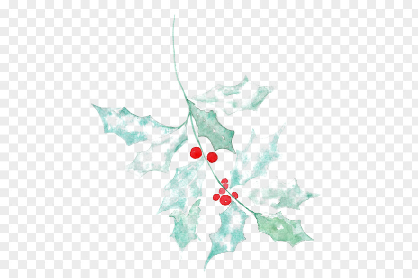 Experiential Season Holly Plant Child Tree Petal PNG