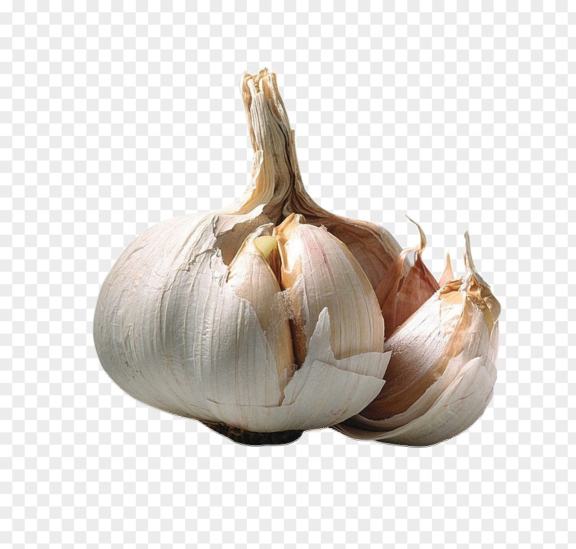 Garlic Desktop Wallpaper 1080p High-definition Video Food PNG