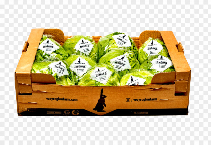 Iceberg Butterhead Lettuce Red Leaf Salad Vegetable PNG