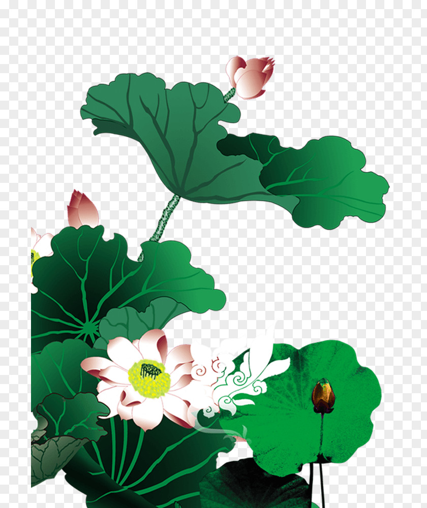 Lotus China Clip Art Chinese New Year Ink Illustration PNG