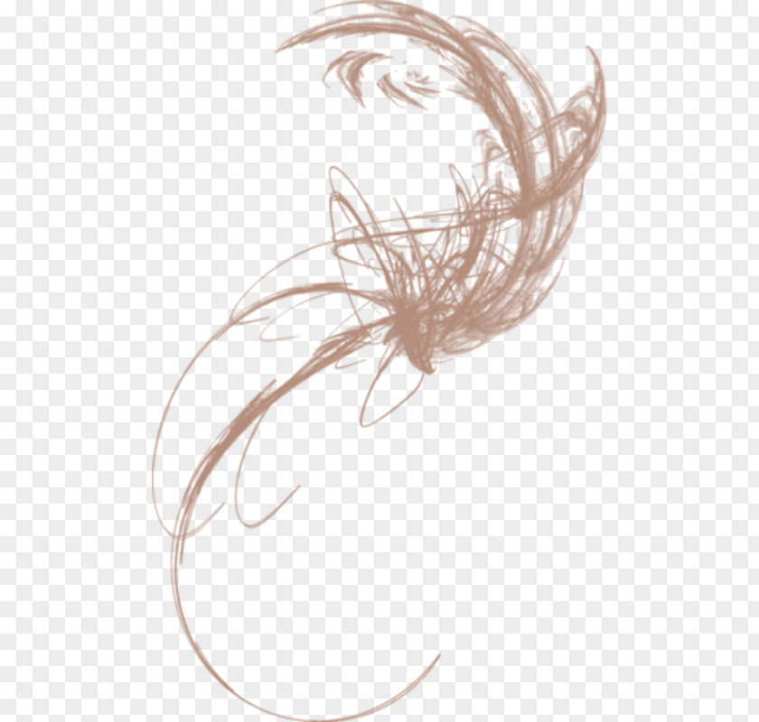 Painting Drawing /m/02csf Feather PNG