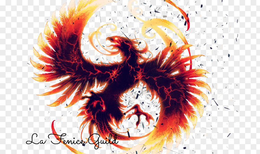 Phoenix Desktop Wallpaper PNG