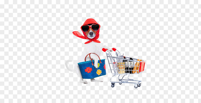 Puppy Dog Shopping Centre Cart PNG