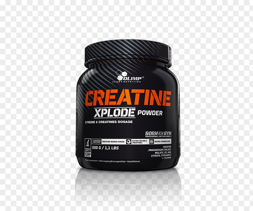 Sports Nutrition Dietary Supplement Creatine Bodybuilding PNG