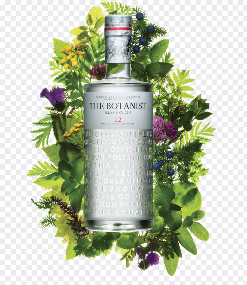 Cocktail Islay The Botanist Gin Liquor Whiskey PNG