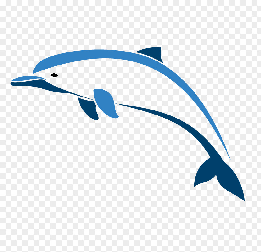 Dolphin Oceanic Porpoise PNG