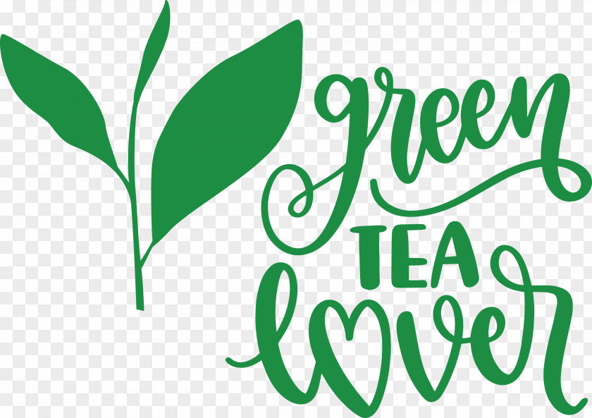 Green Tea Lover PNG