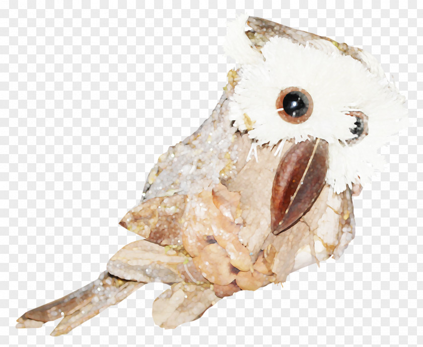 Hand Painted Bird Of Prey Owl Beak Animal PNG