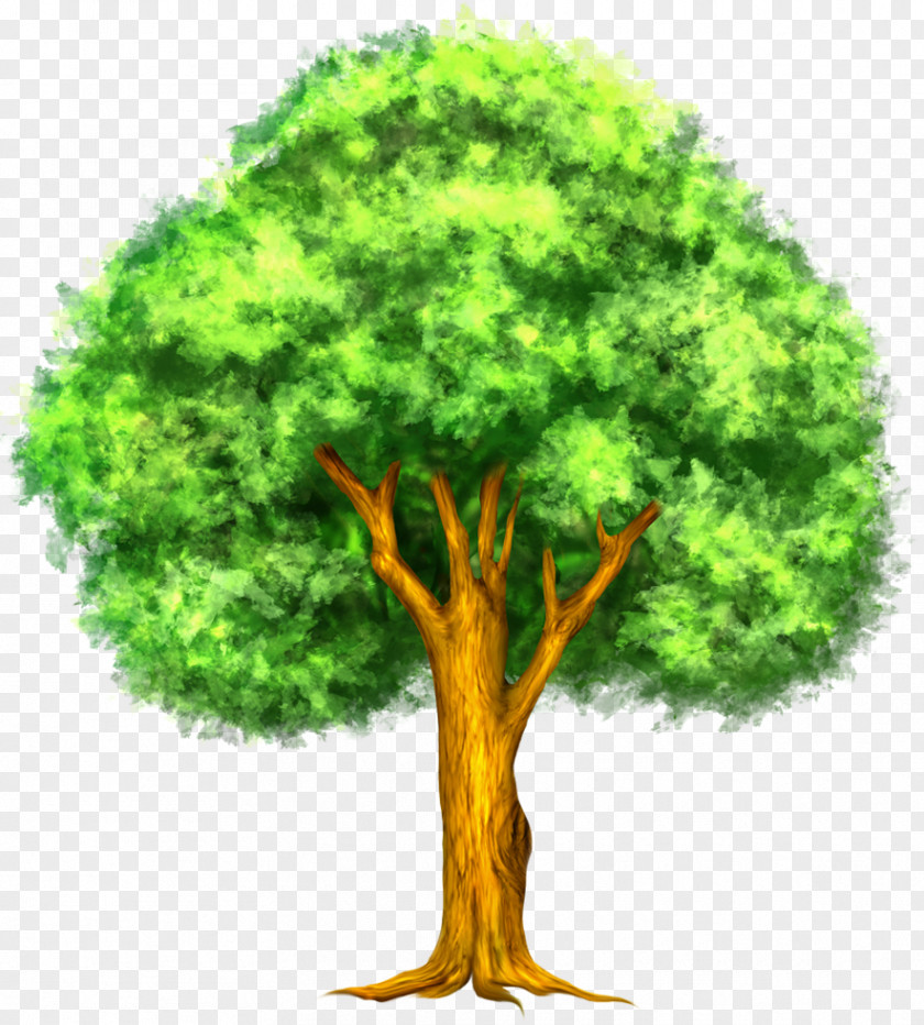 Tree Cliparts Thumbnail Clip Art PNG