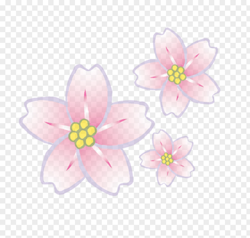 Woman Flower Petal PNG