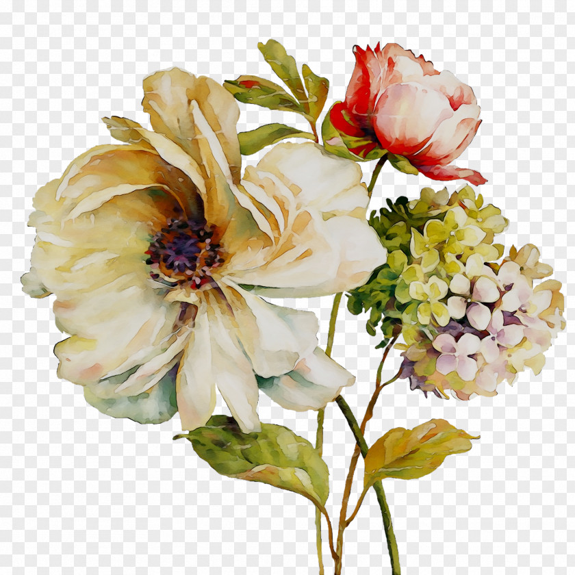 Cut Flowers Cabbage Rose NUOVA R2S Garden Roses PNG