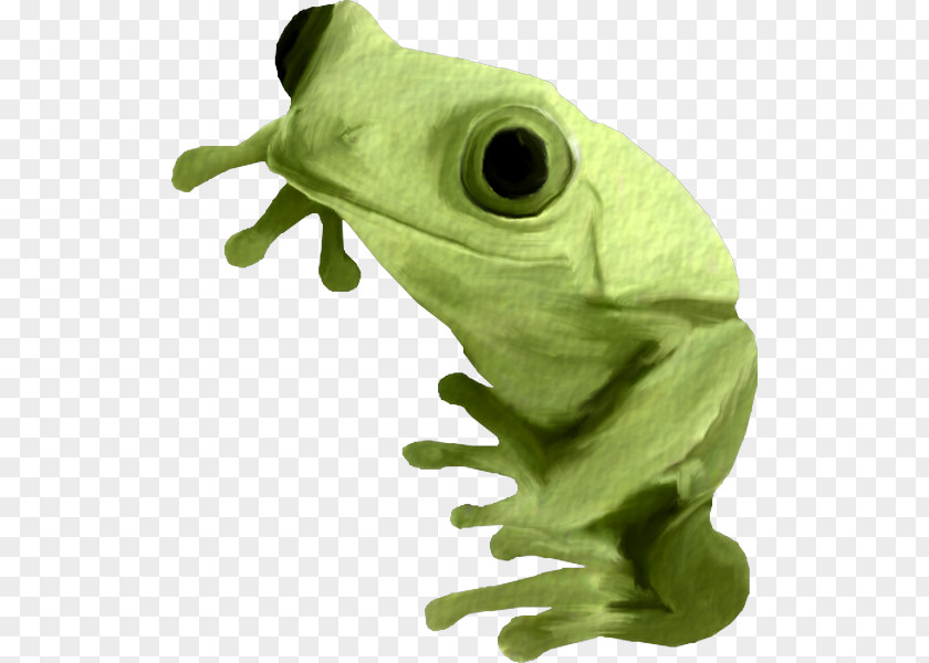 Frog Aug 31st True Clip Art PNG