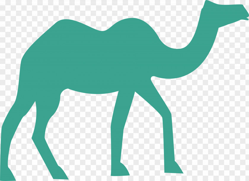 Green Desert Camel Clip Art PNG