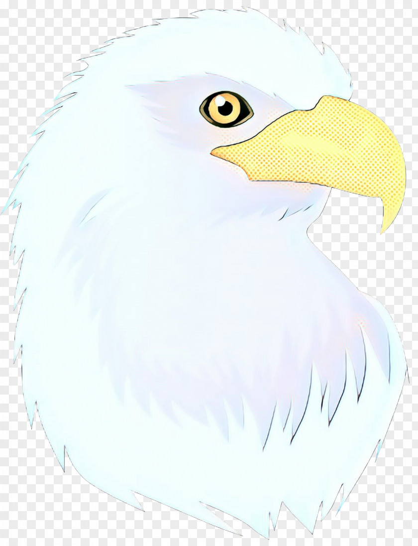 Accipitridae Sea Eagle Watercolor Retro PNG