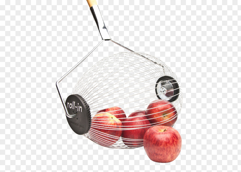 Apple Weed Control Nuts Fruit Abflammen PNG