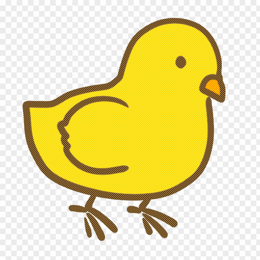 Beak Birds Ducks Duck Goose PNG