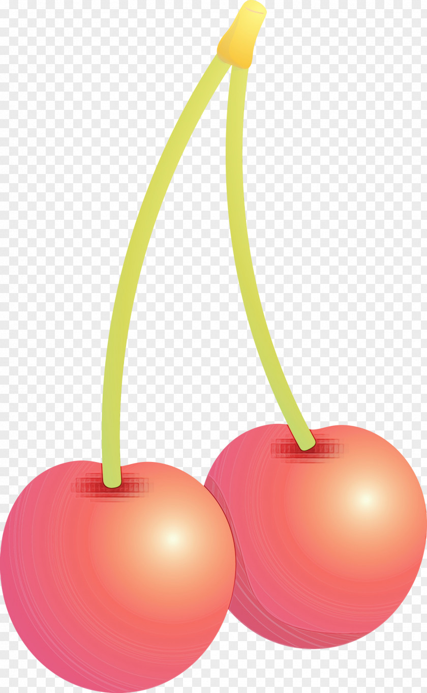 Cherry Fruit Plant Tree Drupe PNG