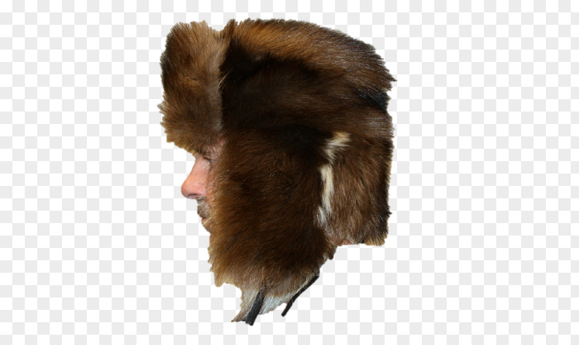 Hat Fur Clothing Bearskin Ushanka PNG