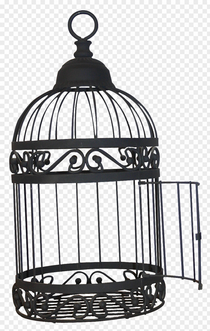 Open The Black Bird Cage Birdcage Domestic Canary PNG